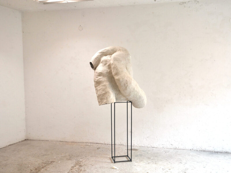 m19-18, 2022, Zellstoff, Korpus H 110 cm x B 65 cm x T 80 cm